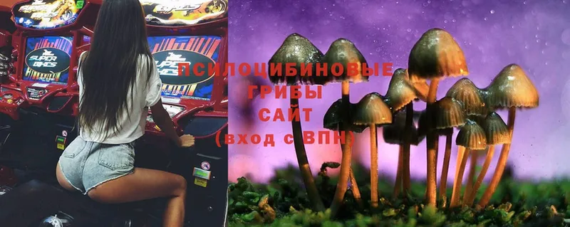 Псилоцибиновые грибы Magic Shrooms  купить наркоту  Лосино-Петровский 